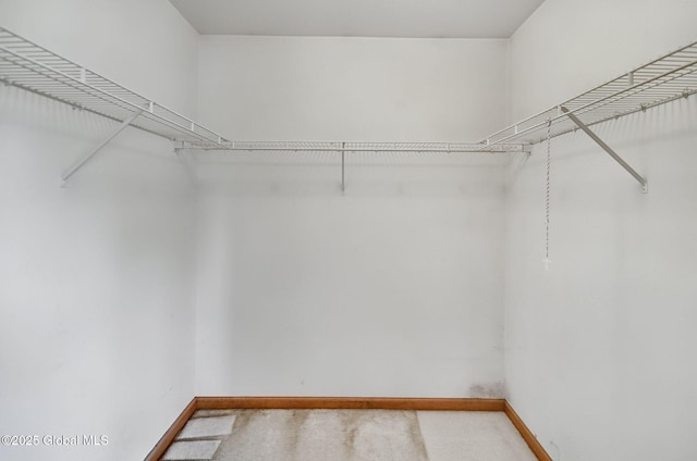20 Lafayette Park, Green Island, NY 12183 - walk in closet featuring carpet flooring
