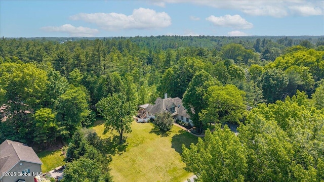 460 Grand Ave, Saratoga Springs, NY 12866 - view of subject property with a forest