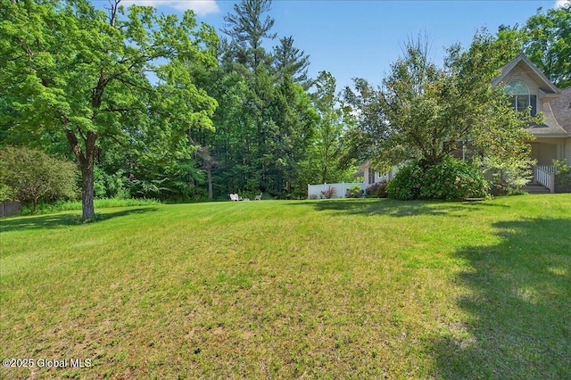 460 Grand Ave, Saratoga Springs, NY 12866 - view of yard