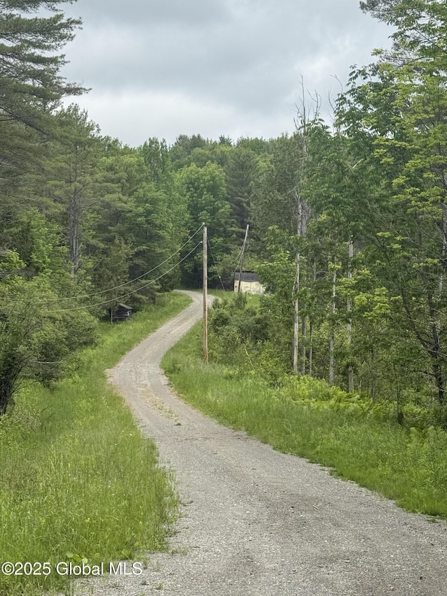 59 Lagrange Rd, Crown Point, NY 12928 - view of dirt / gravel road featuring a view of trees