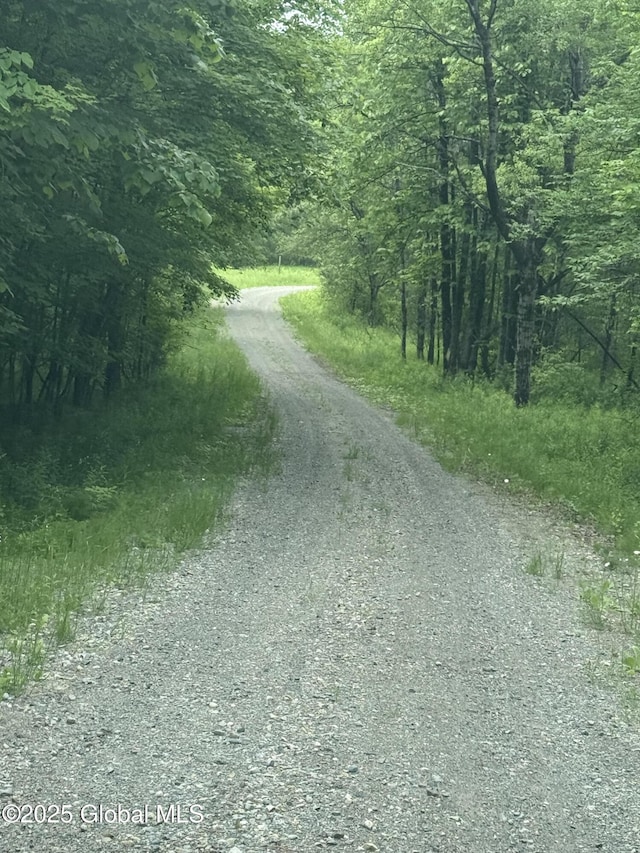 59 Lagrange Rd, Crown Point, NY 12928 - view of road featuring a forest view