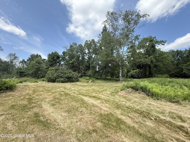 59 Lagrange Rd, Crown Point, NY 12928 - view of wooded area