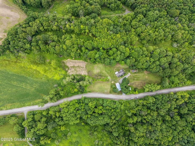 1121 Lundy Rd, Hartford, NY 12832 - photo 29