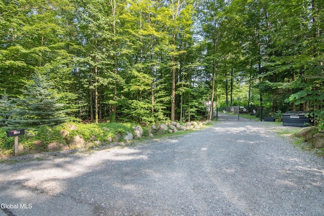 122 Plank Rd, Greenfield, NY 12859 - photo 3
