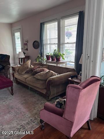 45 S Lake Ave, Troy, NY 12180 - photo 8
