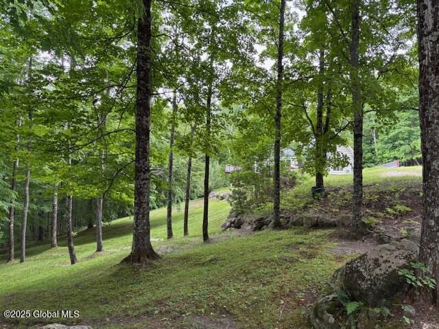 202 Old School House Rd, Johnsburg, NY 12856 - photo 2