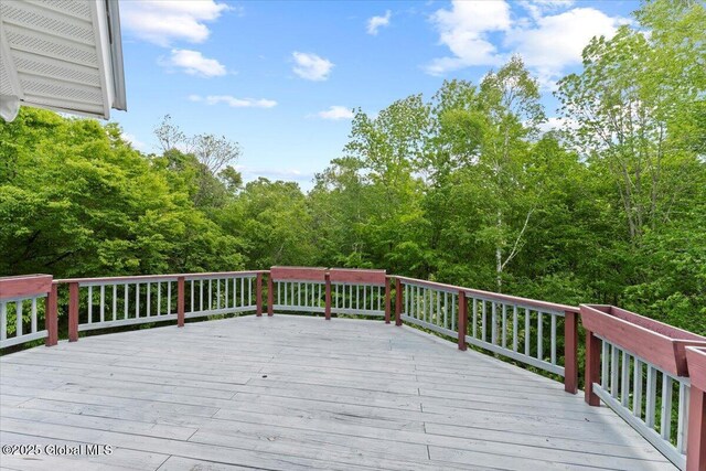 202 Old School House Rd, Johnsburg, NY 12856 - photo 15