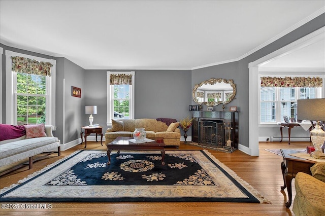 479 Loudon Rd, Colonie, NY 12211 - living area with ornamental molding, a fireplace, wood finished floors, and a baseboard radiator