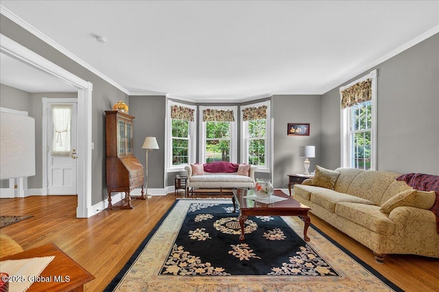 479 Loudon Rd, Colonie, NY 12211 - living area with light wood finished floors and ornamental molding