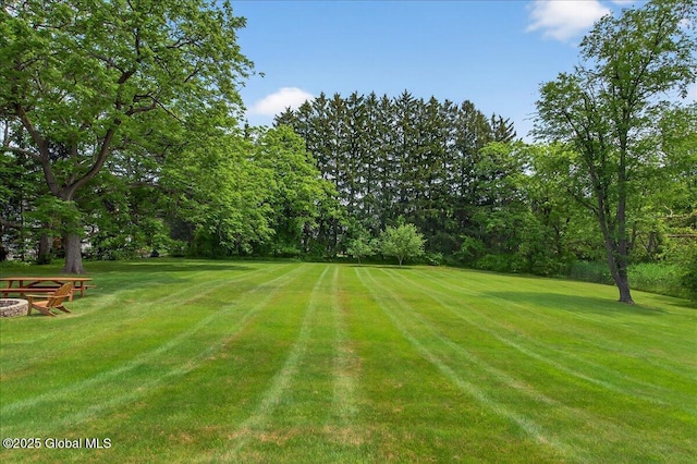 479 Loudon Rd, Colonie, NY 12211 - view of grassy yard featuring view of scattered trees
