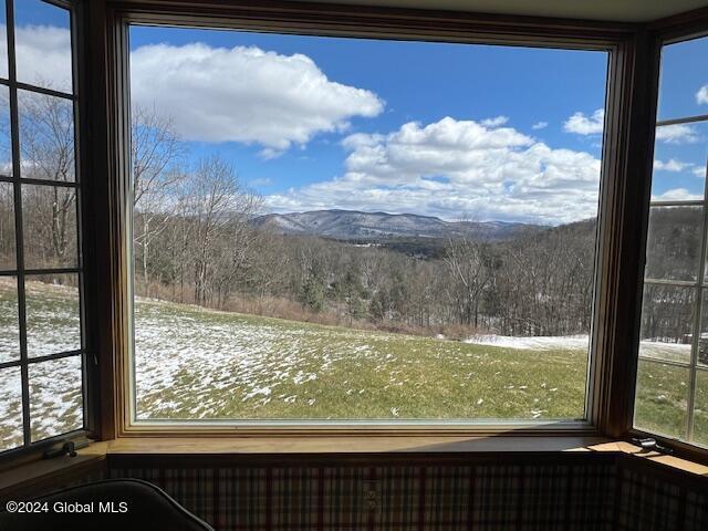 42 Stanton Rd, Jackson, NY 12873 - view of mountain background