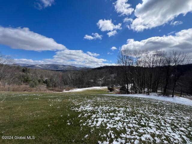 42 Stanton Rd, Jackson, NY 12873 - mountain view
