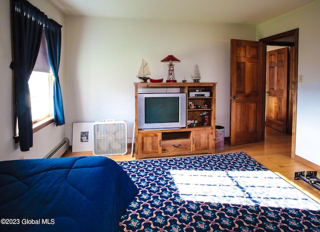 42 Stanton Rd, Jackson, NY 12873 - living room featuring baseboard heating and wood finished floors