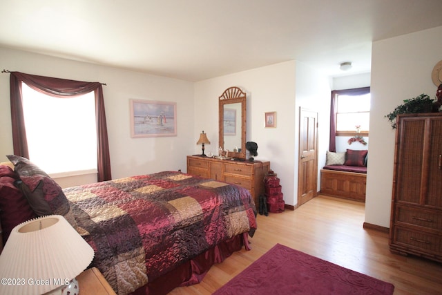 42 Stanton Rd, Jackson, NY 12873 - bedroom with light wood finished floors