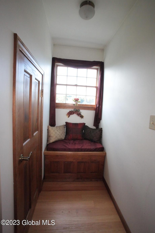 42 Stanton Rd, Jackson, NY 12873 - hall featuring light wood-style flooring and baseboards