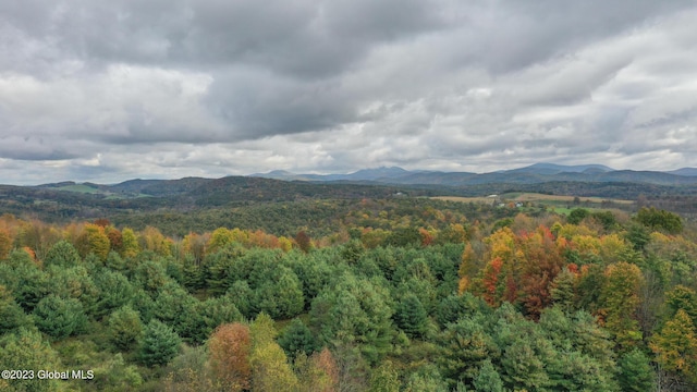 42 Stanton Rd, Jackson, NY 12873 - view of mountain backdrop with a heavily wooded area