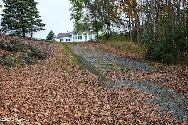 42 Stanton Rd, Jackson, NY 12873 - view of yard with dirt driveway