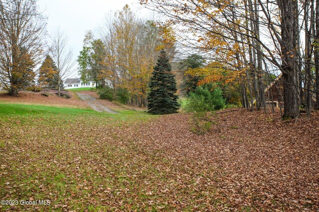 42 Stanton Rd, Jackson, NY 12873 - view of yard