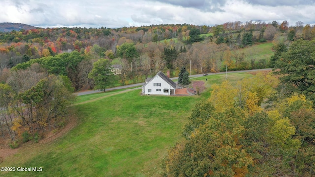 42 Stanton Rd, Jackson, NY 12873 - view from above of property featuring a forest