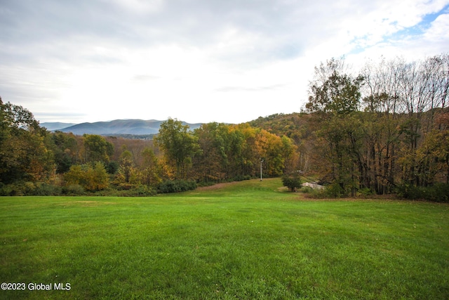 42 Stanton Rd, Jackson, NY 12873 - view of grassy yard with a mountain view and a view of trees