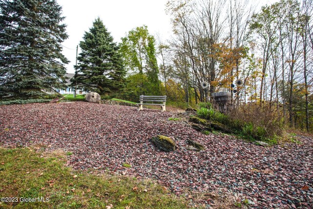 42 Stanton Rd, Jackson, NY 12873 - view of yard