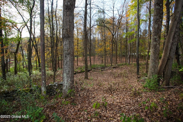 42 Stanton Rd, Jackson, NY 12873 - view of wooded area
