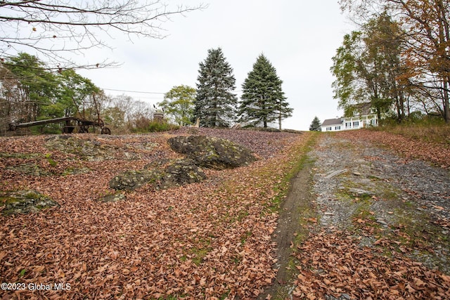 42 Stanton Rd, Jackson, NY 12873 - view of dirt / gravel driveway