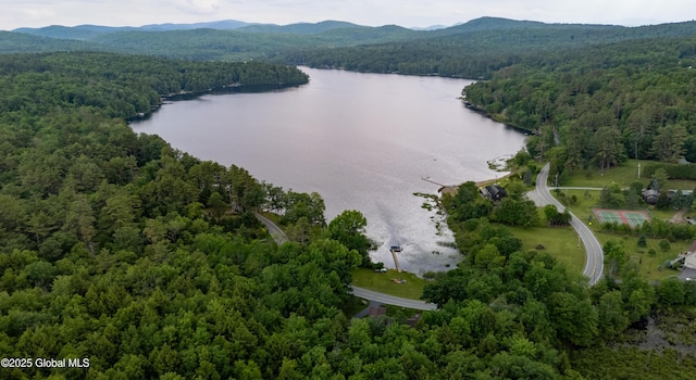 555 Trout Lake Rd, Bolton, NY 12824 - bird's eye view of a forest and a water and mountain view