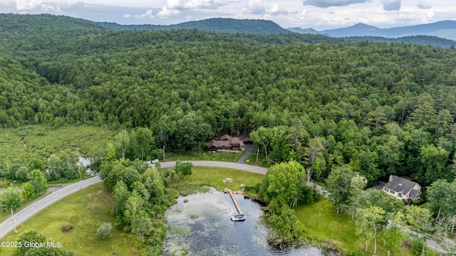 555 Trout Lake Rd, Bolton, NY 12824 - aerial view of a heavily wooded area and a water and mountain view