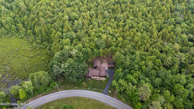 555 Trout Lake Rd, Bolton, NY 12824 - view of property location with a forest
