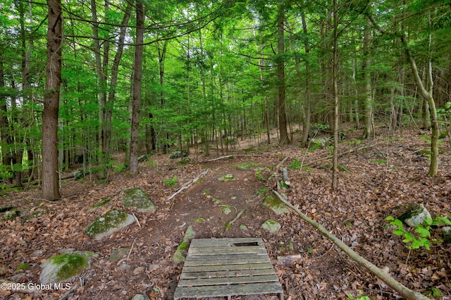 555 Trout Lake Rd, Bolton, NY 12824 - view of tree filled area