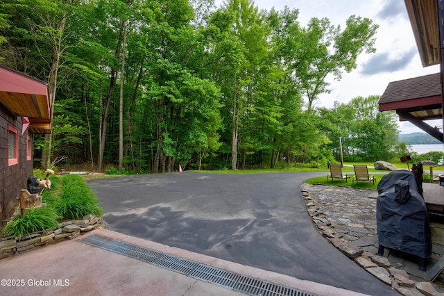 555 Trout Lake Rd, Bolton, NY 12824 - view of patio featuring grilling area