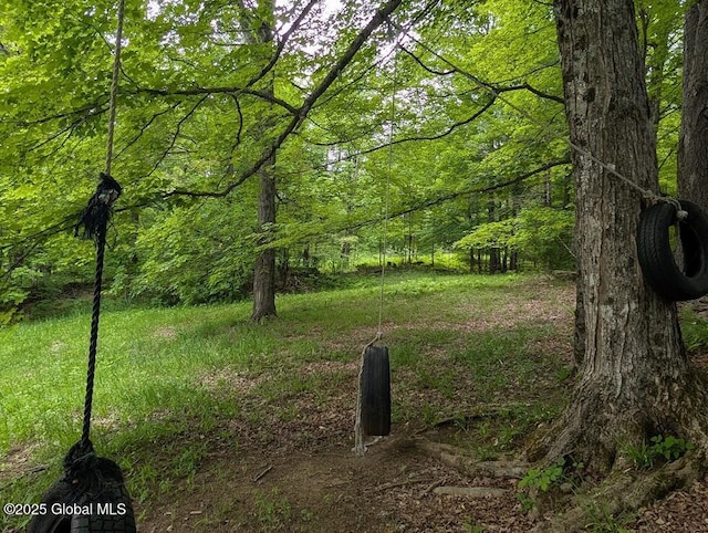 312 Ridge Rd, Northampton, NY 12134 - view of yard with a view of trees