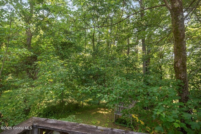 27 Hopeful Ln, Wilton, NY 12831 - photo 23
