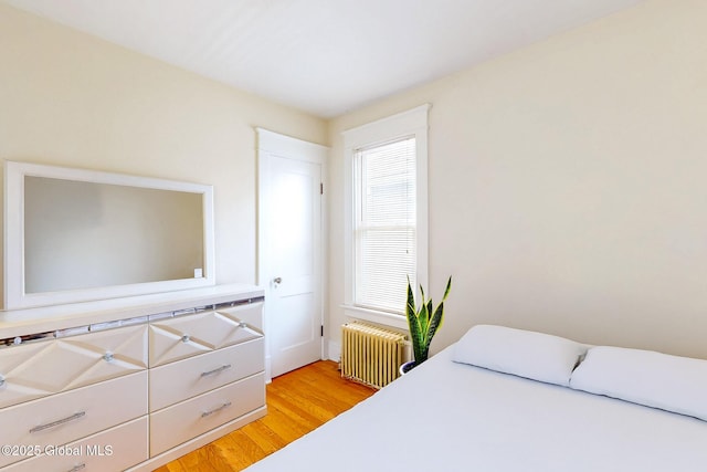 66 Roosevelt Ave, Schenectady, NY 12304 - bedroom with radiator heating unit and light wood-style flooring