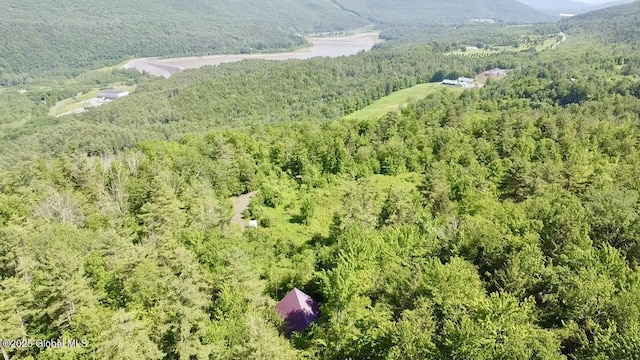 169 Tae Kwon Rd, Blenheim, NY 12131 - photo 4