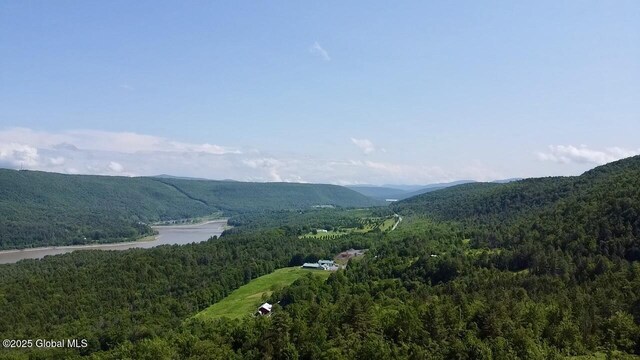 169 Tae Kwon Rd, Blenheim, NY 12131 - photo 5