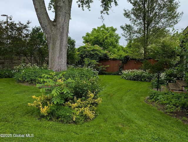 19 High St, Fort Plain, NY 13339 - view of yard