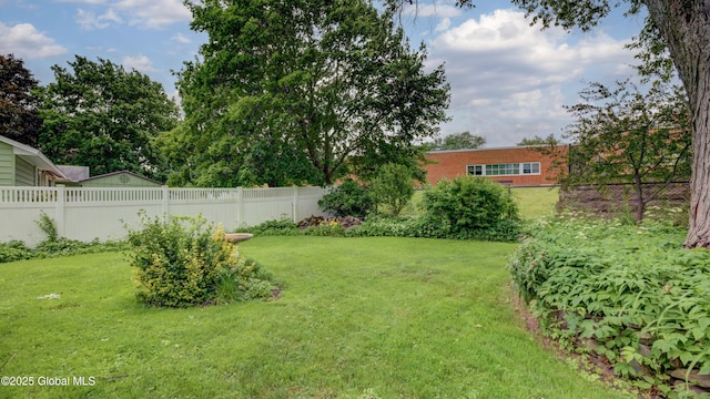 19 High St, Fort Plain, NY 13339 - view of yard