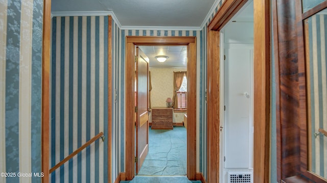 19 High St, Fort Plain, NY 13339 - corridor with crown molding and carpet