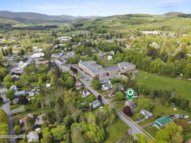 11 River St, Stamford, NY 12167 - aerial view of property and surrounding area featuring mountains
