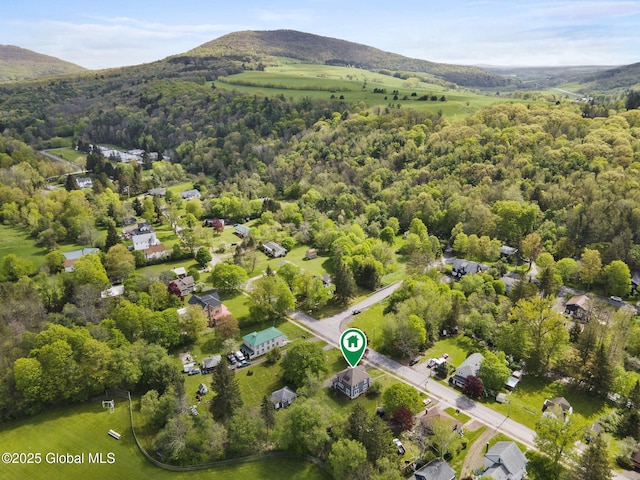 11 River St, Stamford, NY 12167 - aerial view of property and surrounding area with a mountain backdrop and a heavily wooded area