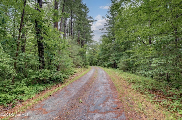 349 Methodist Farm Rd, Sand Lake, NY 12018 - view of road with a wooded view