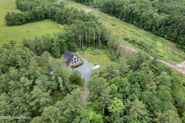 349 Methodist Farm Rd, Sand Lake, NY 12018 - view from above of property with a forest