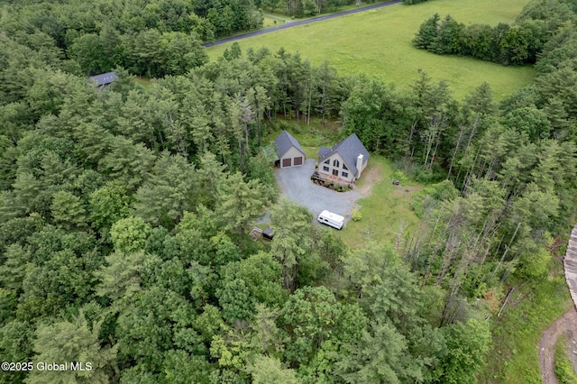 349 Methodist Farm Rd, Sand Lake, NY 12018 - view of subject property with a heavily wooded area