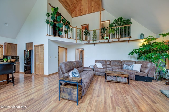 349 Methodist Farm Rd, Sand Lake, NY 12018 - living area featuring high vaulted ceiling and light wood-type flooring