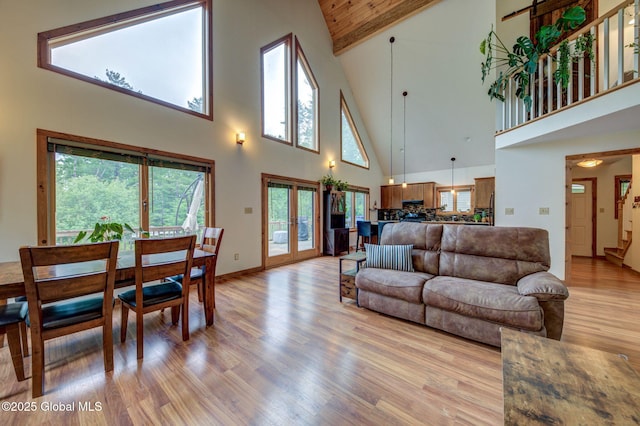 349 Methodist Farm Rd, Sand Lake, NY 12018 - living room featuring high vaulted ceiling, light wood-style flooring, and french doors