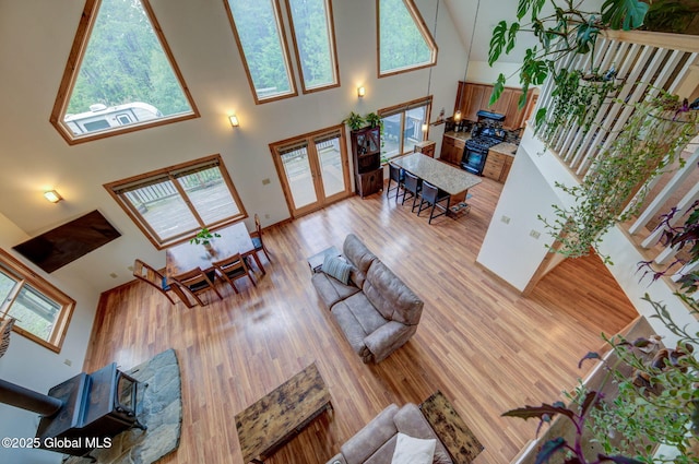 349 Methodist Farm Rd, Sand Lake, NY 12018 - living area with a high ceiling, french doors, and light wood-style flooring
