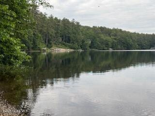 8 Read Dr, Lake Luzerne, NY 12846 - photo 44