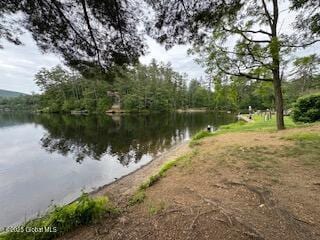 8 Read Dr, Lake Luzerne, NY 12846 - photo 43